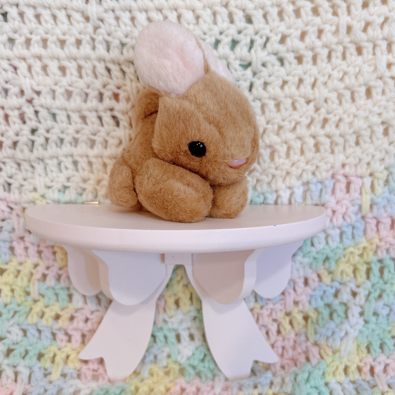mini bunnyの画像02