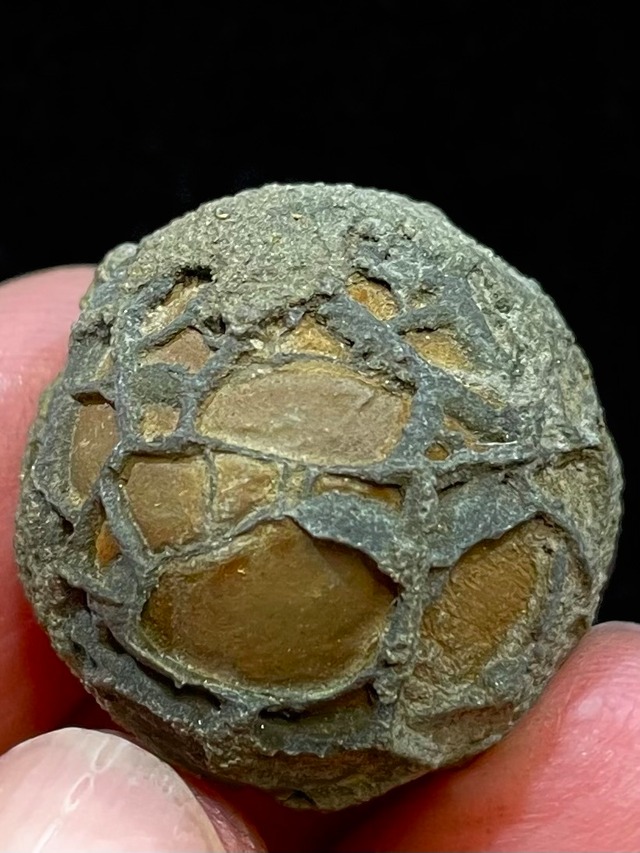 17) 「幸せ」を捕縛する＊ハピネス・キャプチャー「ジャラストラ(絹の網)」小型