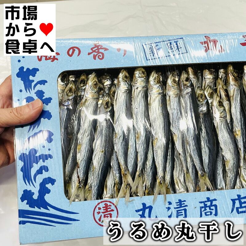 うるめいわし丸干し 3箱(1箱1kg入り)【上乾・鹿児島県産】しっかり干
