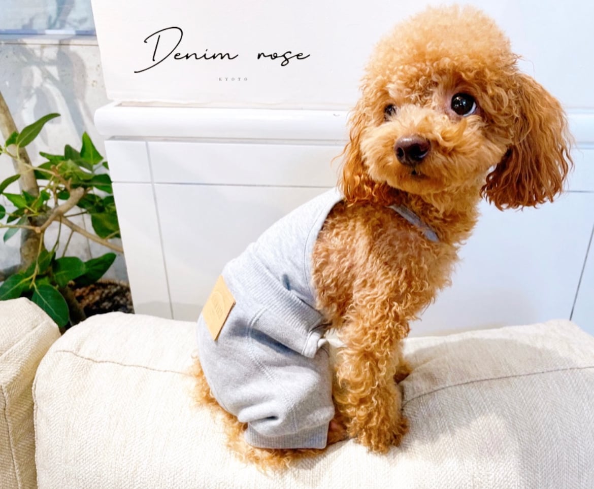 dcb17ea5bcf1d70e3ec2b8c62a8a78