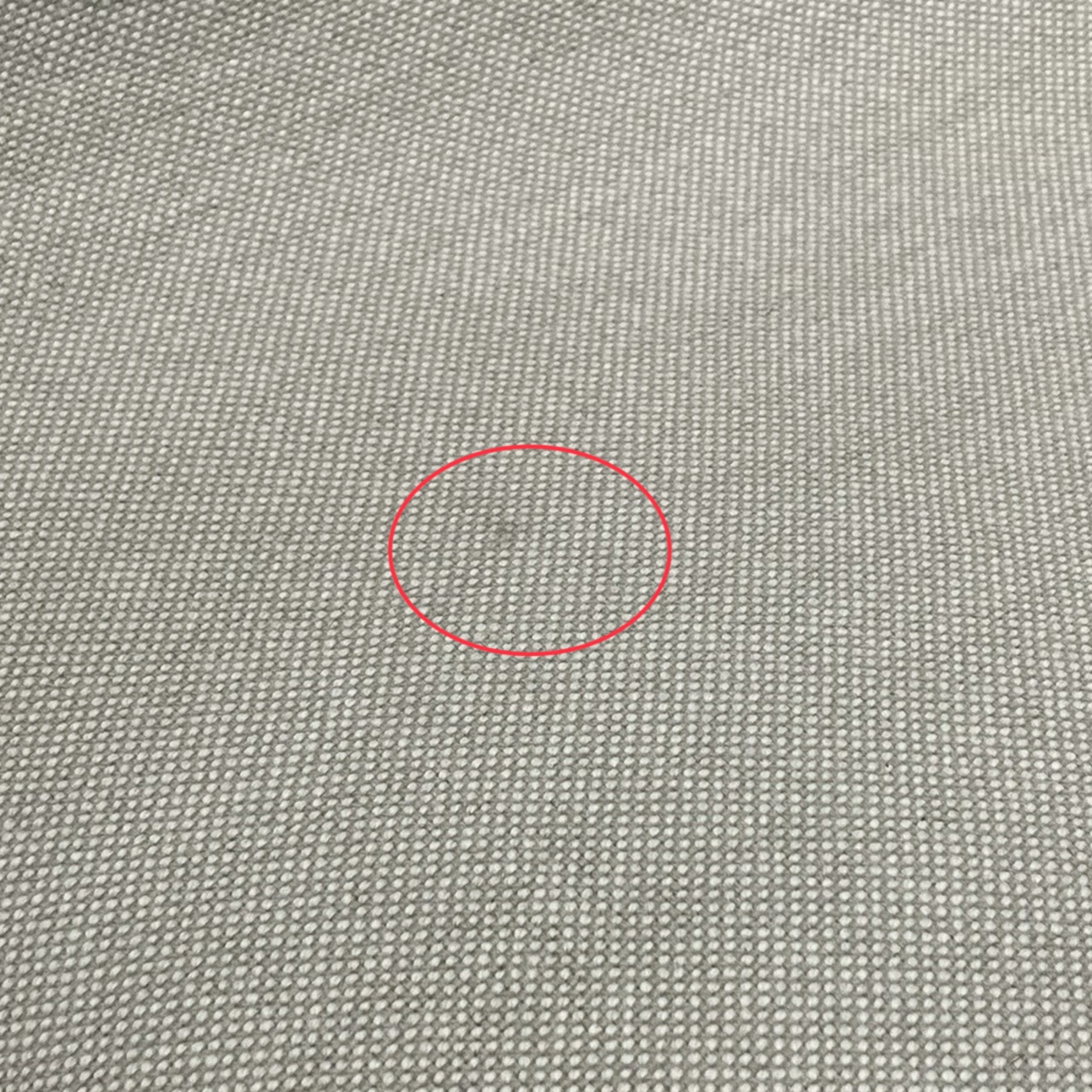 Vitra Organic Chair / ミッドセンチュリー 名作 ヴィトラ オーガニックチェア プロ仕上げ デザイナーズ チェア Charles Eames（Herman Miller,Knoll）