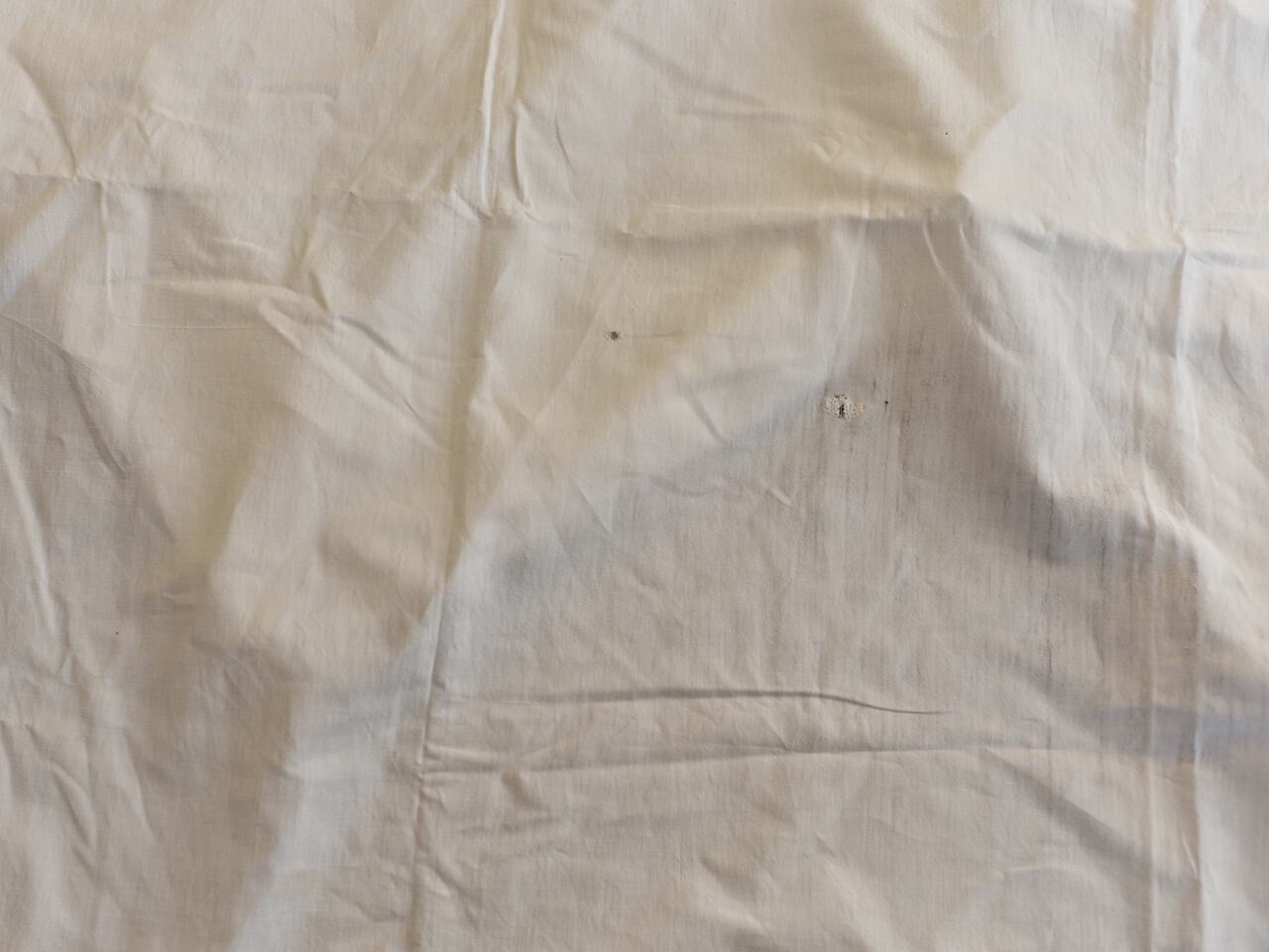 白地にイニシャルが入った裾模様が可愛いリネンシーツ *フレンチアンティーク