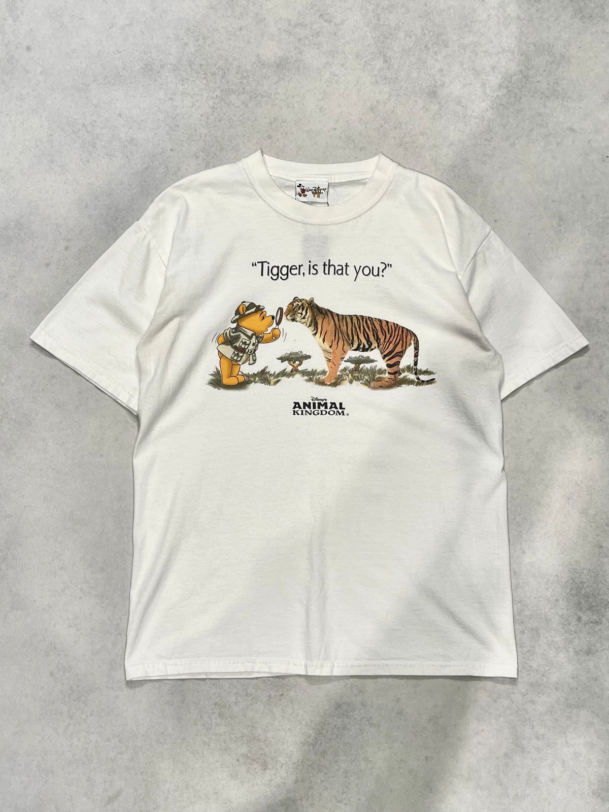 Disney Animal Kingdom 】90