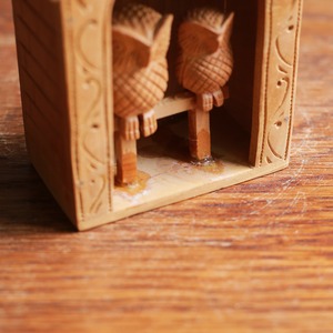 フクロウが仲良く暮らす、小さな教会