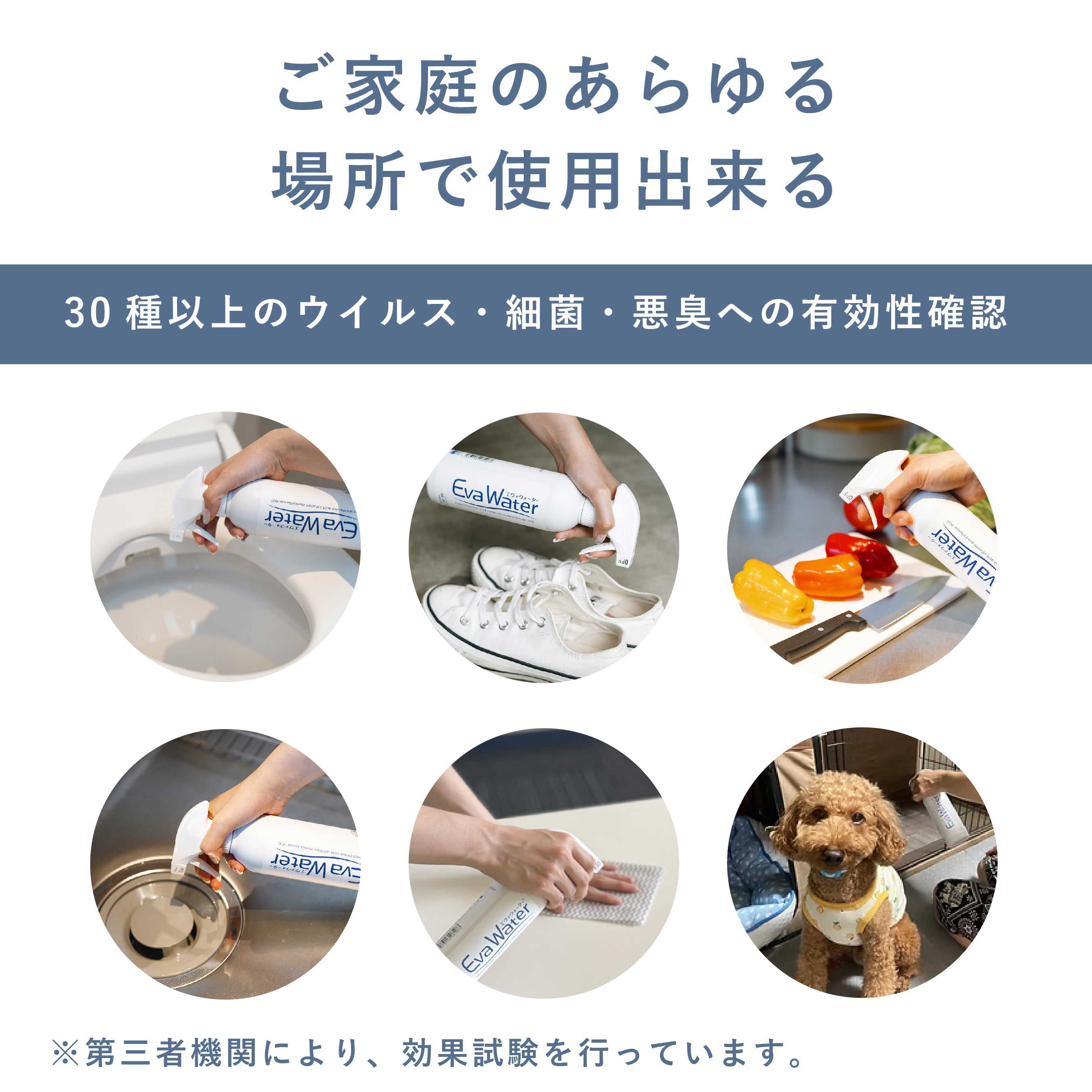【そのまま使える】エヴァウォーター® 400ml 100mg/L 次亜塩素酸分子水溶液 【EW-400S】