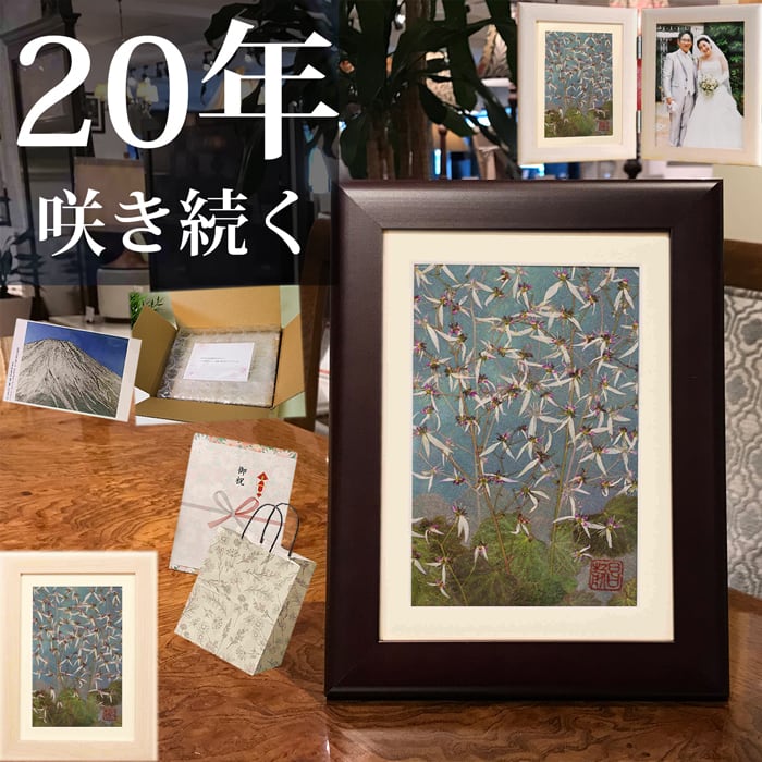 押し花祝電☆2月誕生花【 雪の下 (ユキノシタ) 】花言葉：深い愛情