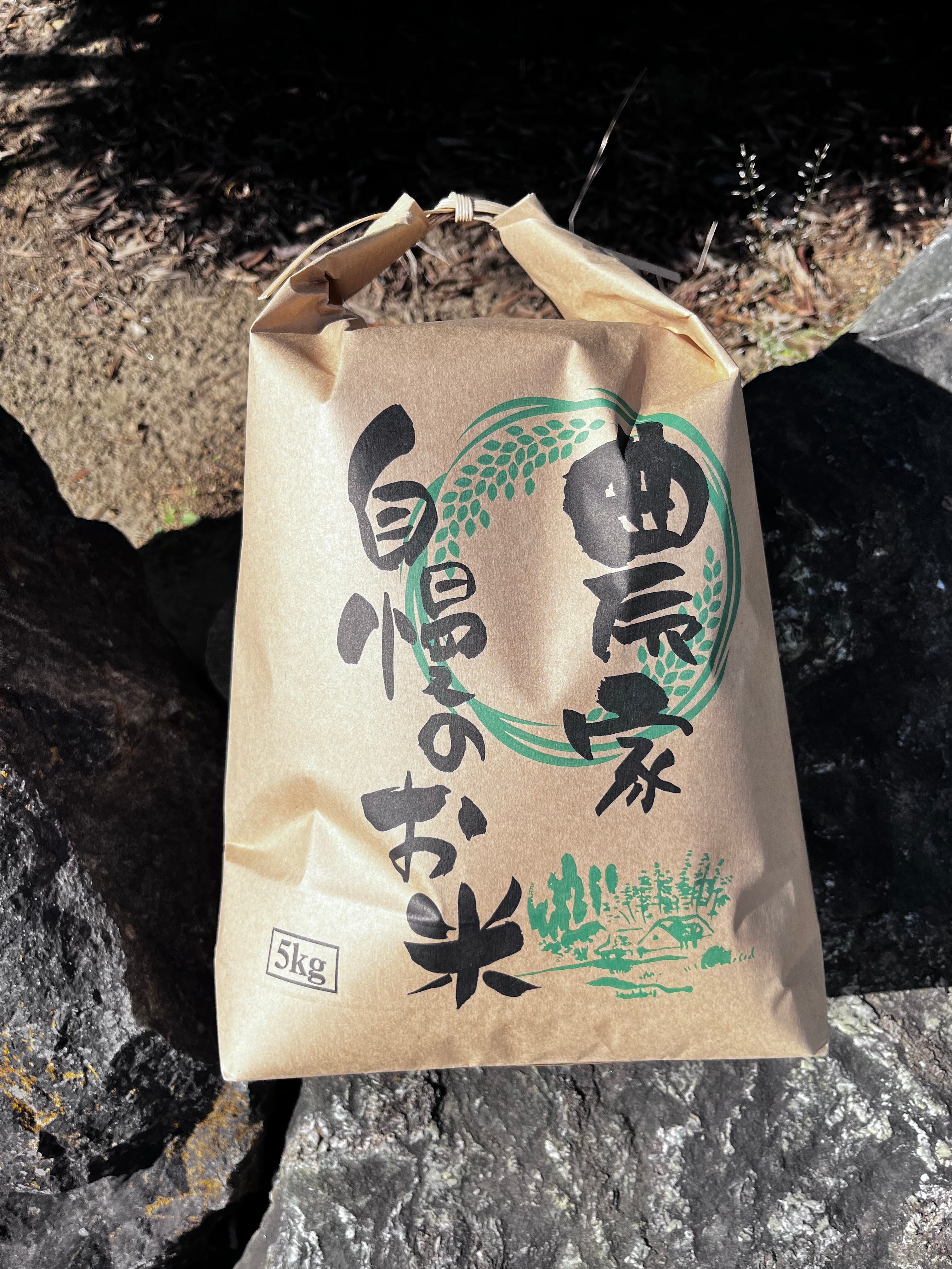令和7年長野県上田市産 コシヒカリ10kg | Pay ID