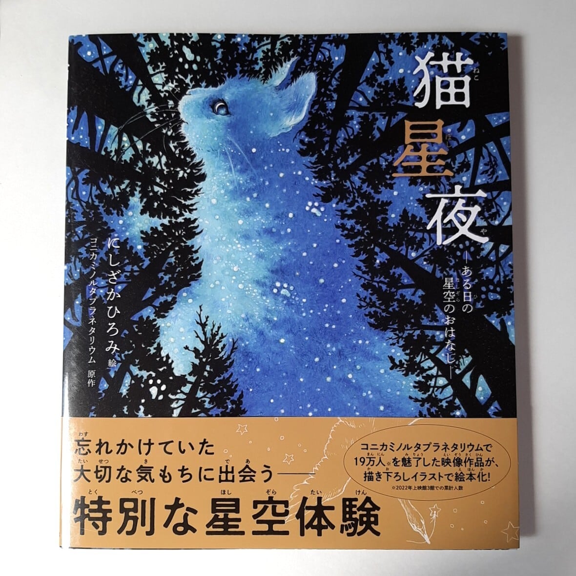 dcc50ec1be7066fd532fc81be01927