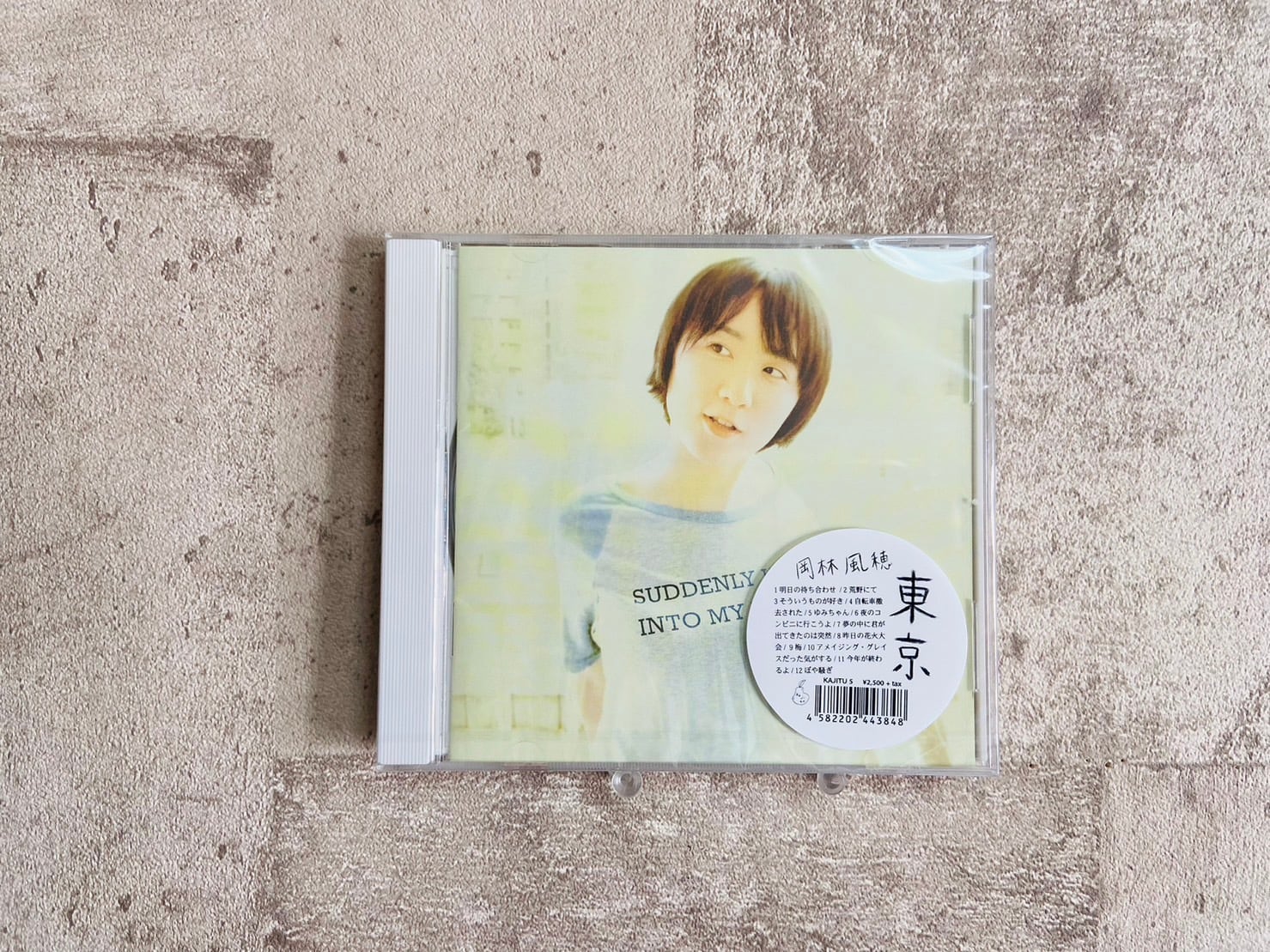 揺れるは幽霊 / 幽霊計画.demo | HOLIDAY! RECORDS DISTRO