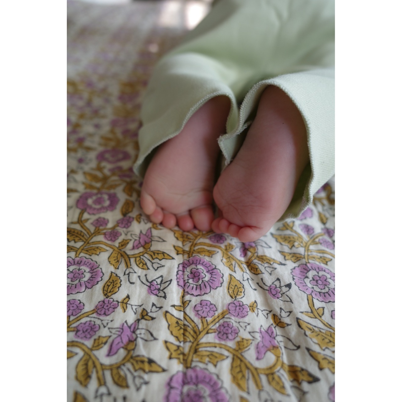 NorthBaby　Organic Twinset Aloe Shirt and Pants