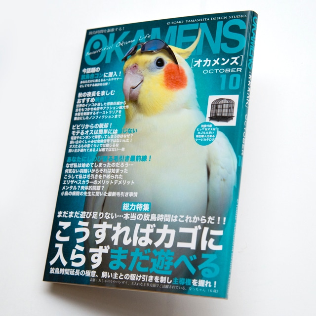 文庫型メモ帳　オカメンズ10月号