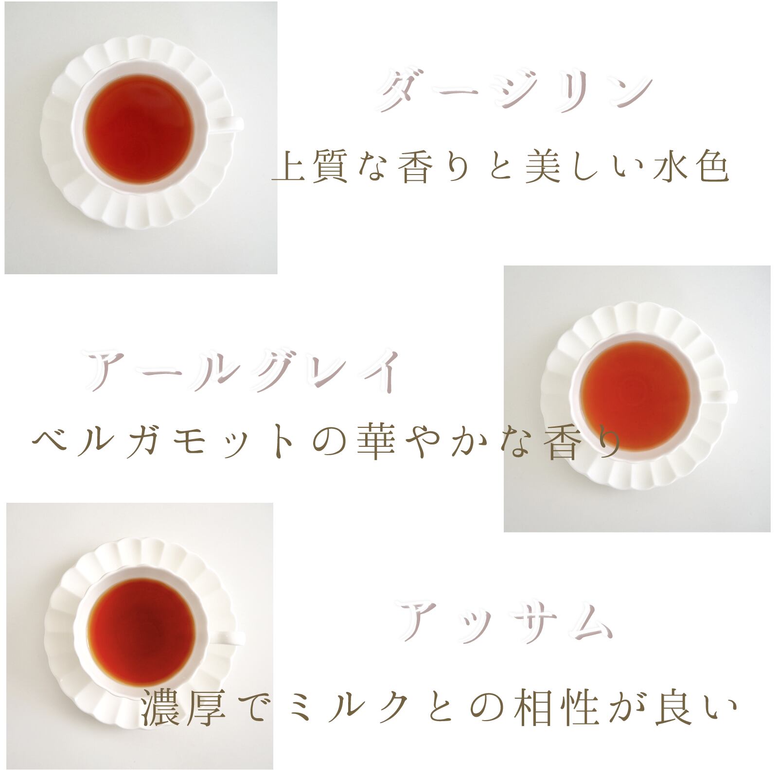 紅茶 お得に選べる３種類セット 紅茶 ハーブティー専門店 かえでの森
