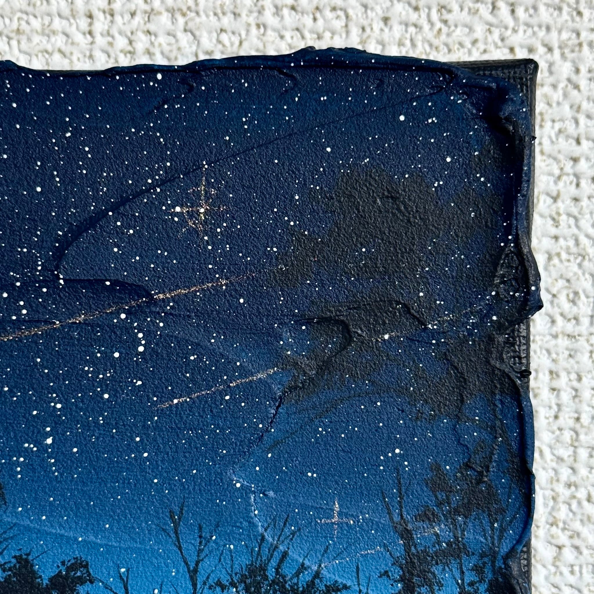 星の瞬き | 麗しの空