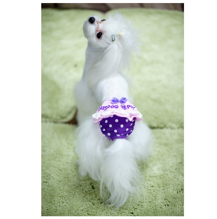 ドットフリルサニタリーパンツ S 〜 L 2color / 犬 犬用 マナーパンツ 犬 生理パンツ しつけ用品 小型犬 中型犬 ペット 犬サニタリーパンツ