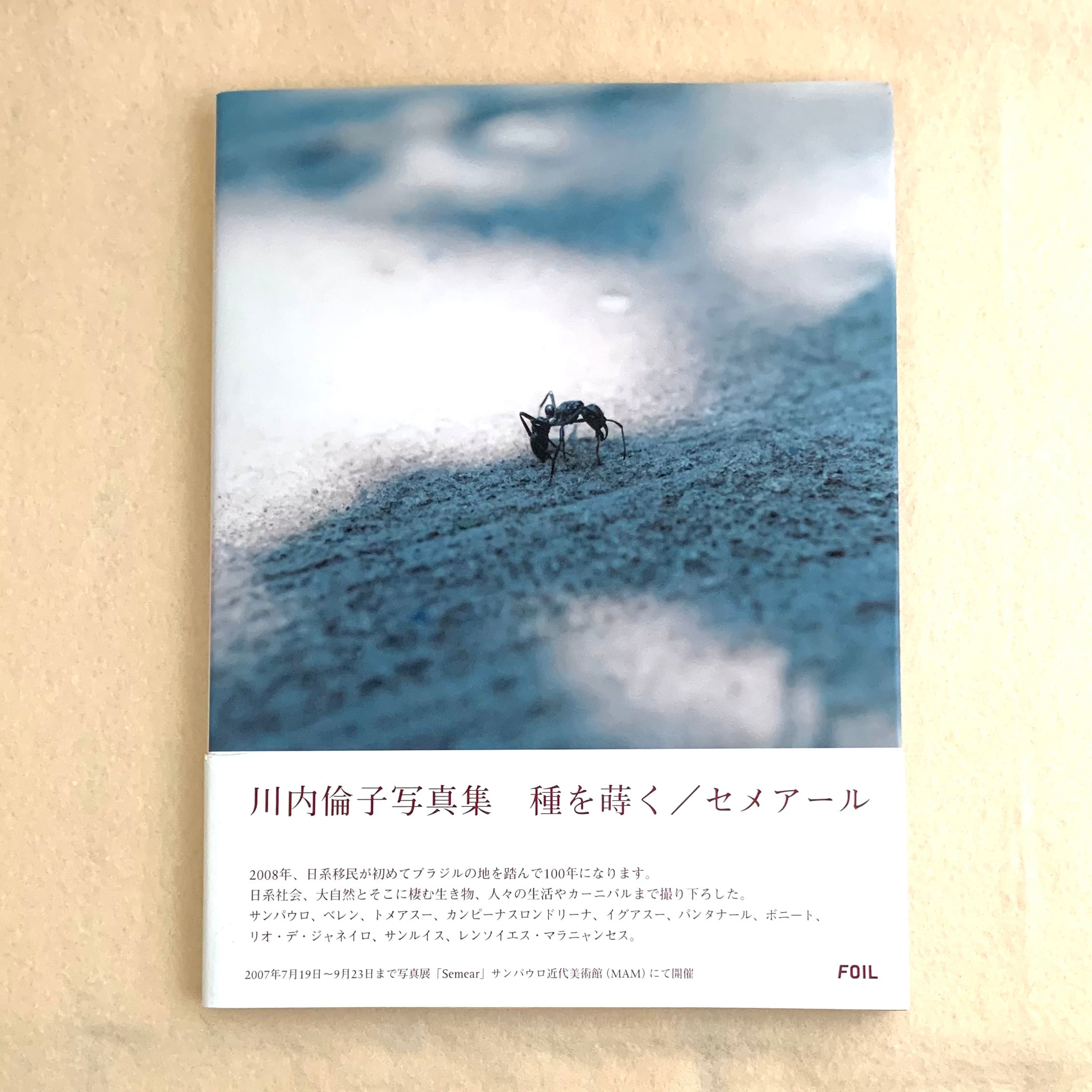 Mémoires. 1984-1987 / 古屋誠一 | gingerbooks