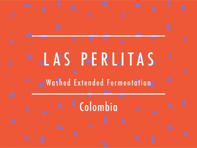 【100g】コロンビア / LAS PERLITAS Washed Extended Fermentation