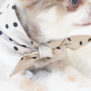 cool neckストール dot/beige