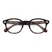 MOSCOT(モスコット) LEMTOSH"BURNT TORTS 49 JPN LTD 20"