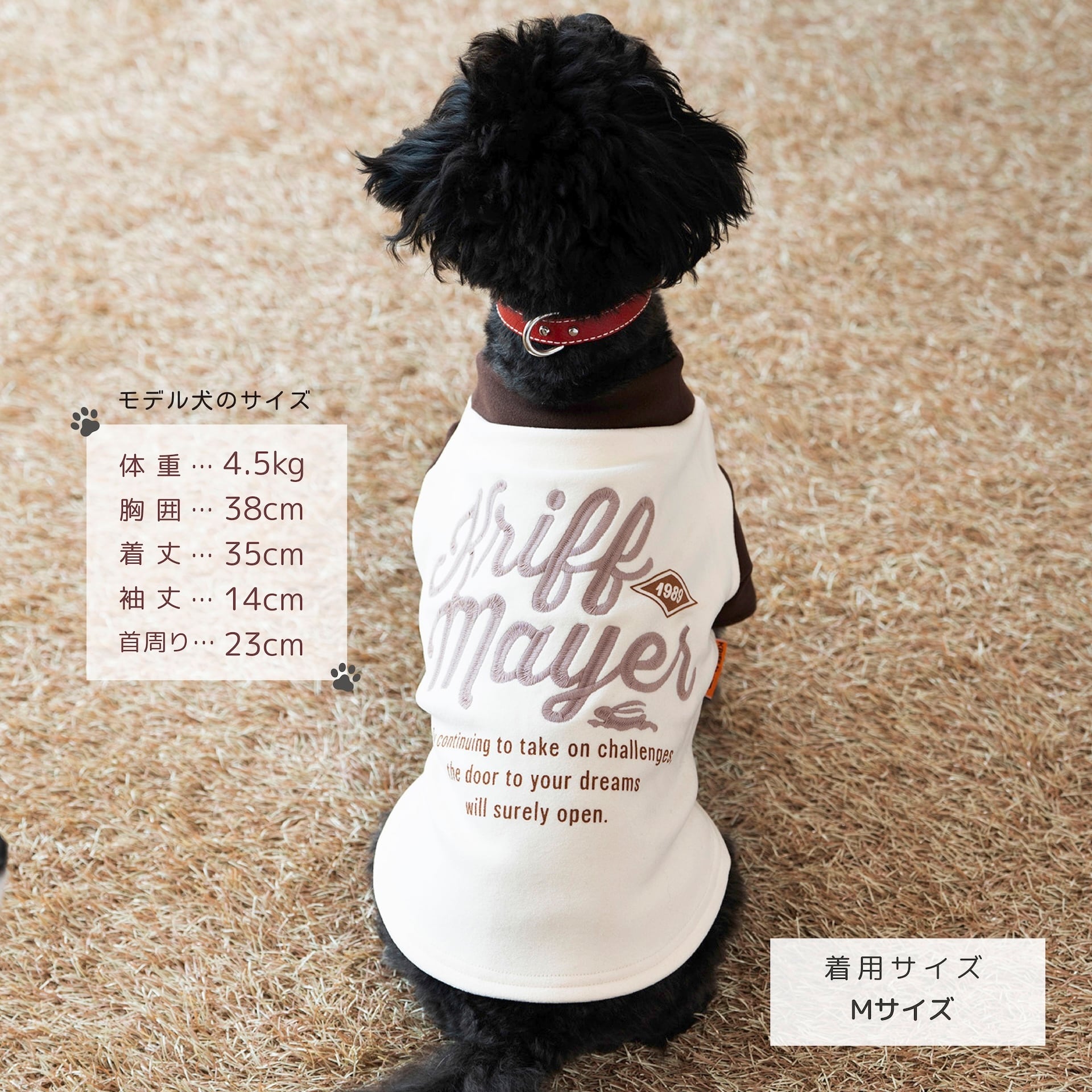 ドッグウェアCP対象】DOGもちのびT（BLACK） | 38explore