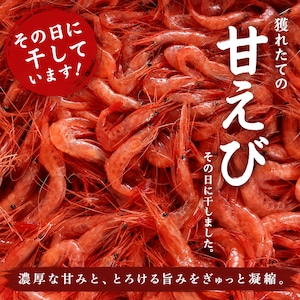 干あまえび9ｇ｜ 5袋セット｜漁獲当日に干した濃厚な旨み・無添加・食べきりサイズ｜北陸福井つまみーる