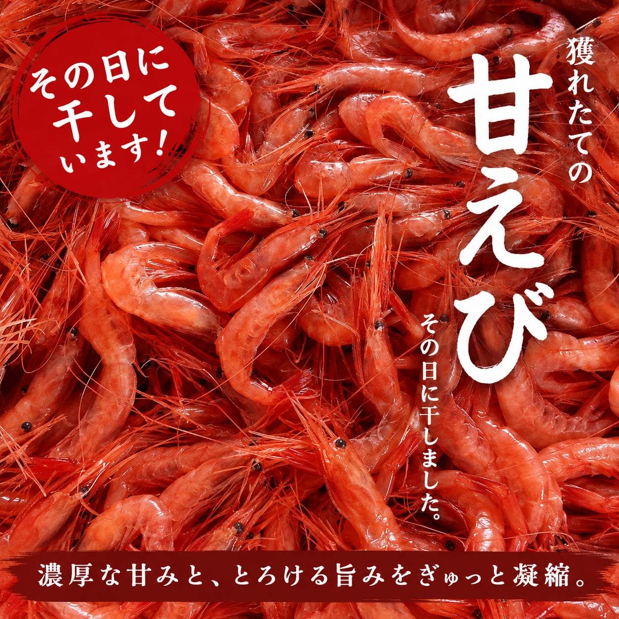 干あまえび9ｇ｜ 5袋セット｜漁獲当日に干した濃厚な旨み・無添加・食べきりサイズ｜北陸福井つまみーる