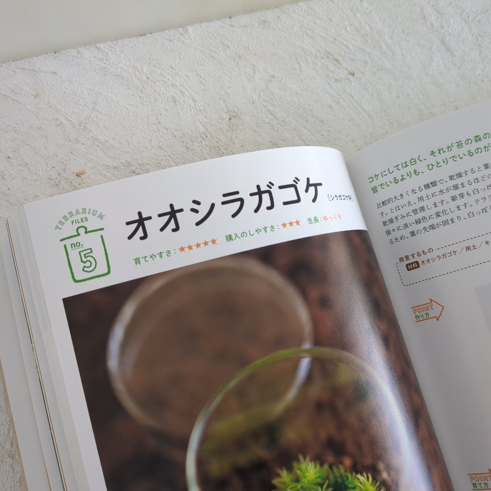 【ぼーだー】初夏の森天然苔の世界 予約特典ステッカーつき】5月25日発売開始｜増補版「部屋で楽しむ