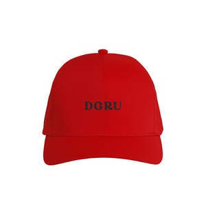 DGRU ロゴ入りFLEXFIT キャップ