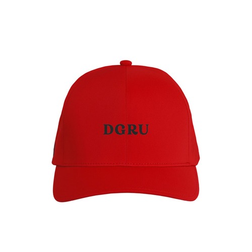 DGRU ロゴ入りFLEXFIT キャップ