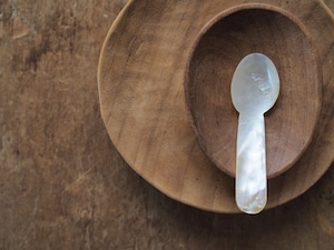 shell spoon!