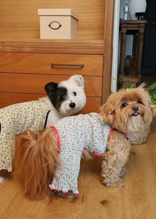 maro　犬服ハンドメイド MARO