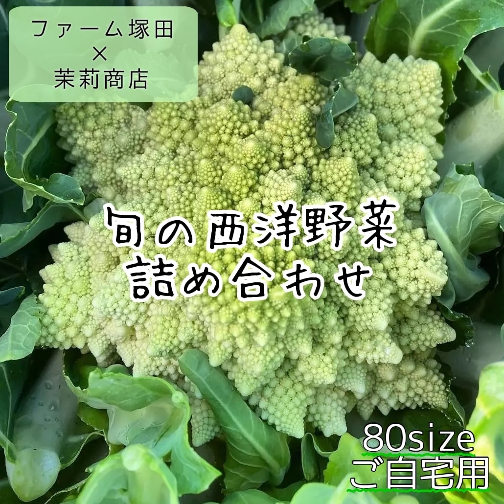 茉莉商店　旬の西洋野菜と旬野菜詰め合わせ　8～10種入り(5月後半)　茨城県産(ご自宅用80size)　※冷蔵便送料別