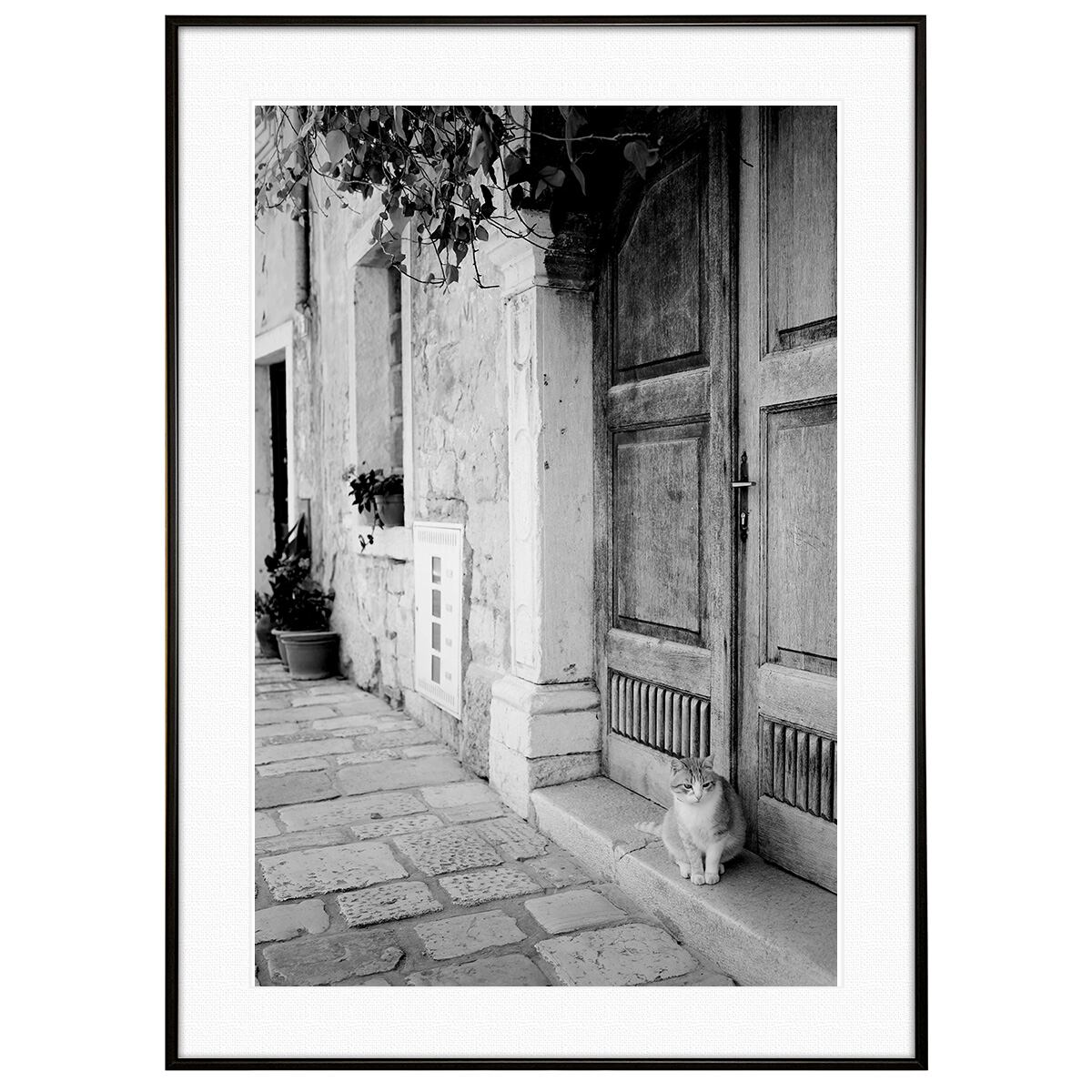 動物写真 街中の猫 インテリア モノクロアートポスター額装 AS4597
