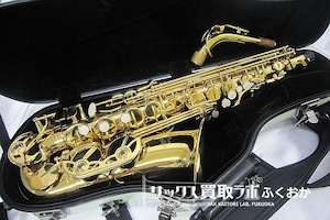 Antigua Standard  【即演奏可】アンティグア アルトサックス  美品 中古  スタンダード 軽量ケース付属 LLA090292 囗L