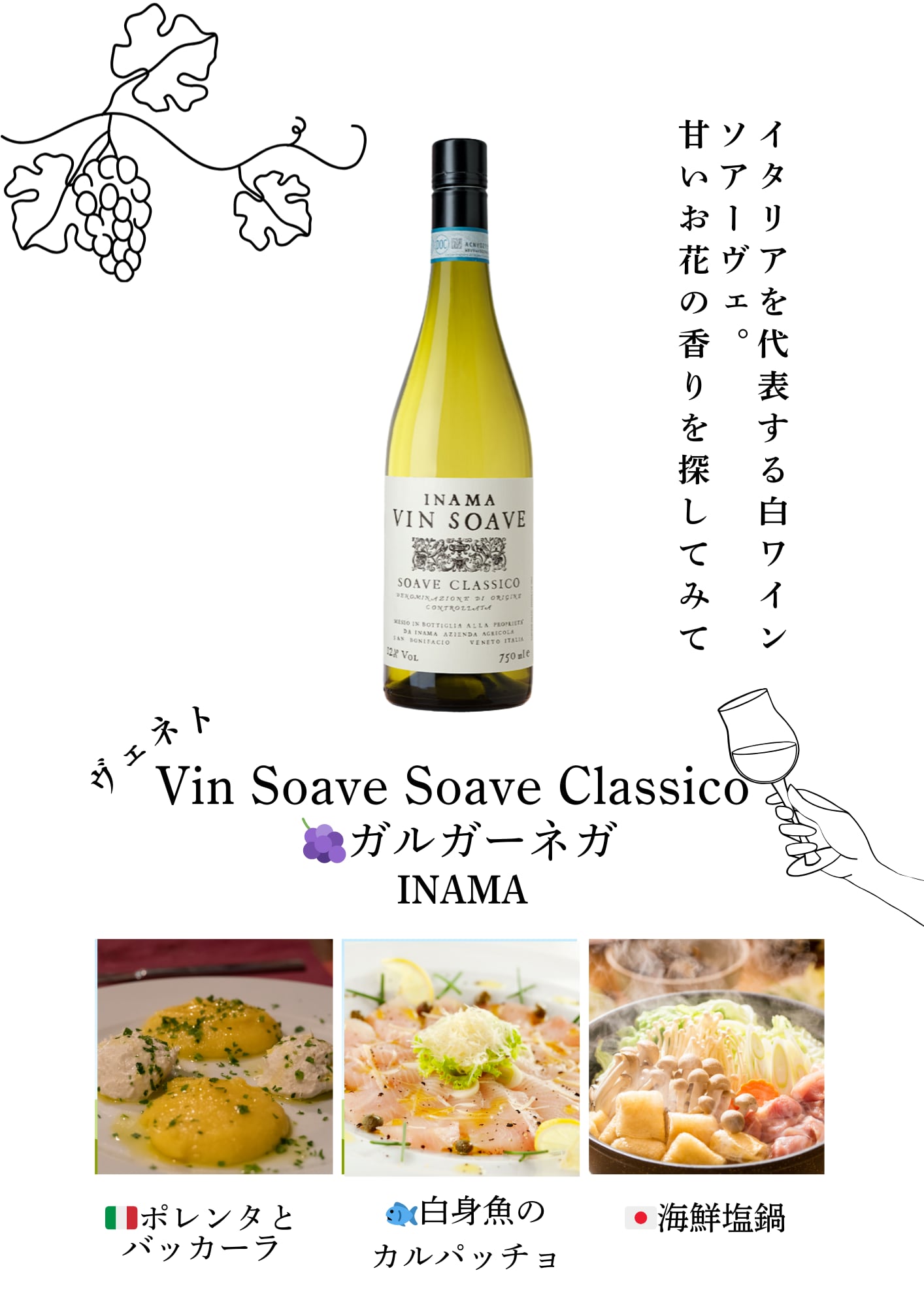 イタリアワインの魔女が選ぶイタリアワイン入門３本セット【30%OFF】