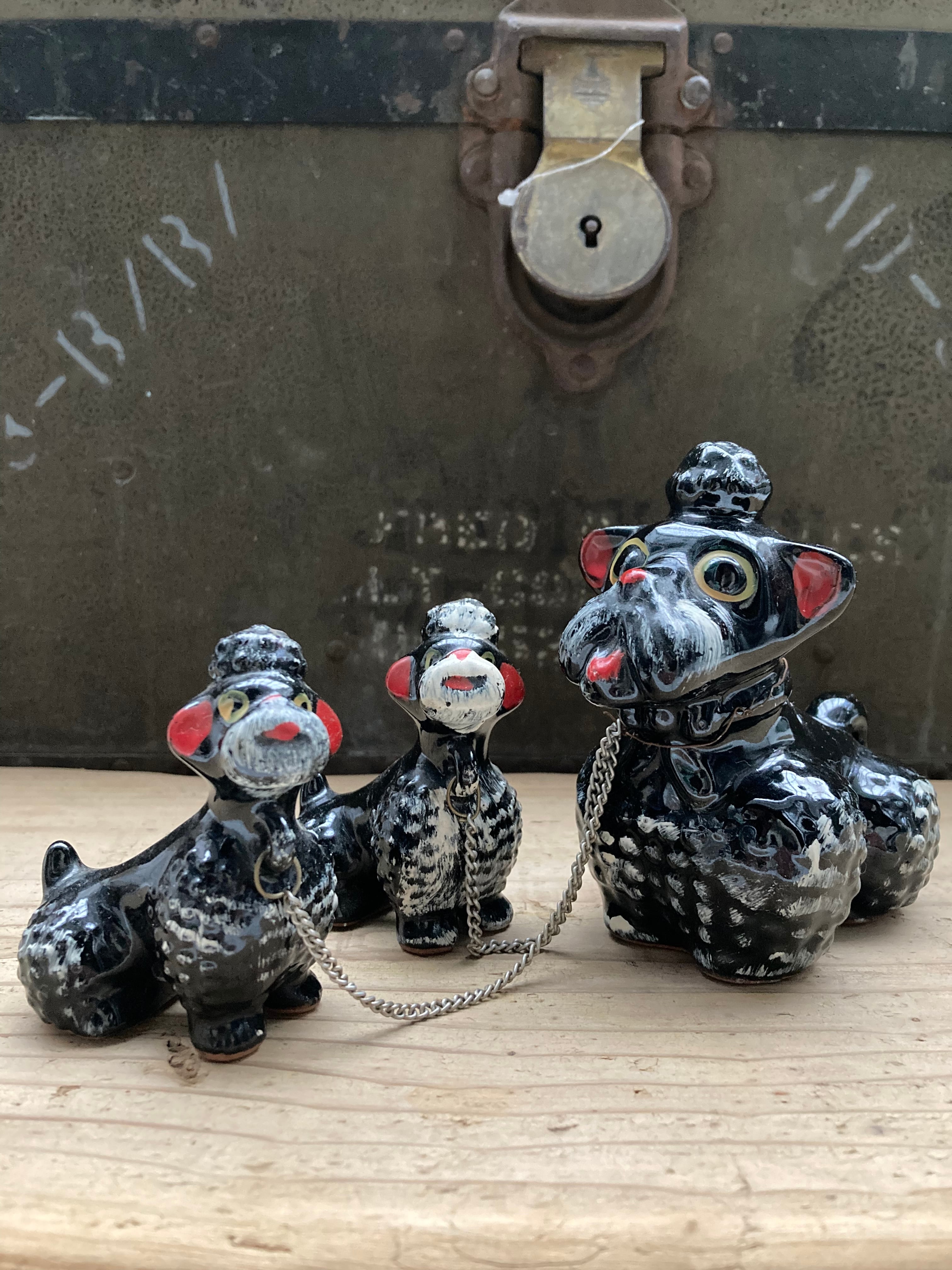 50s POODLE 3set
