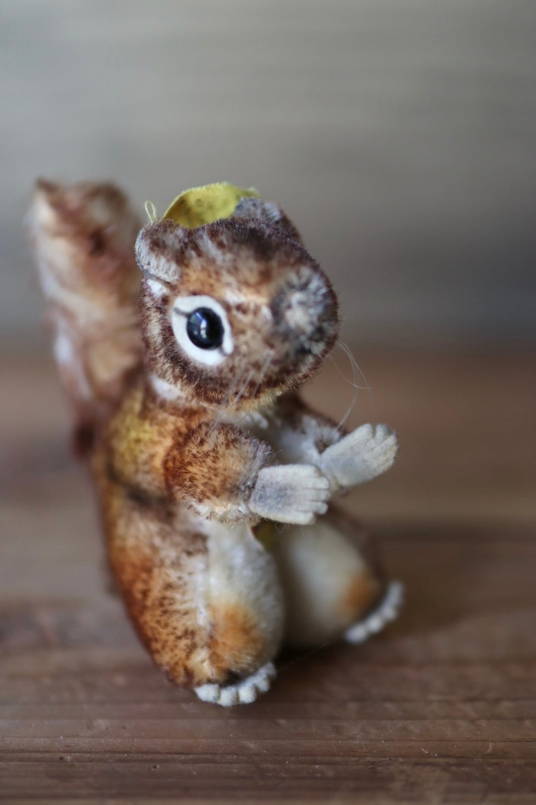 シュタイフ ぬいぐるみ リス Perri ヴィンテージ