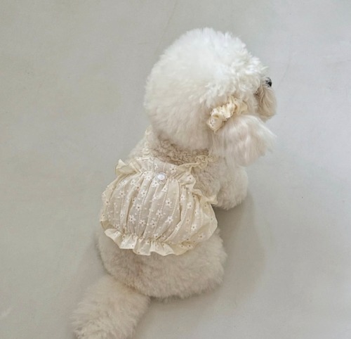 《予約》DM0005  Cream Flower Top