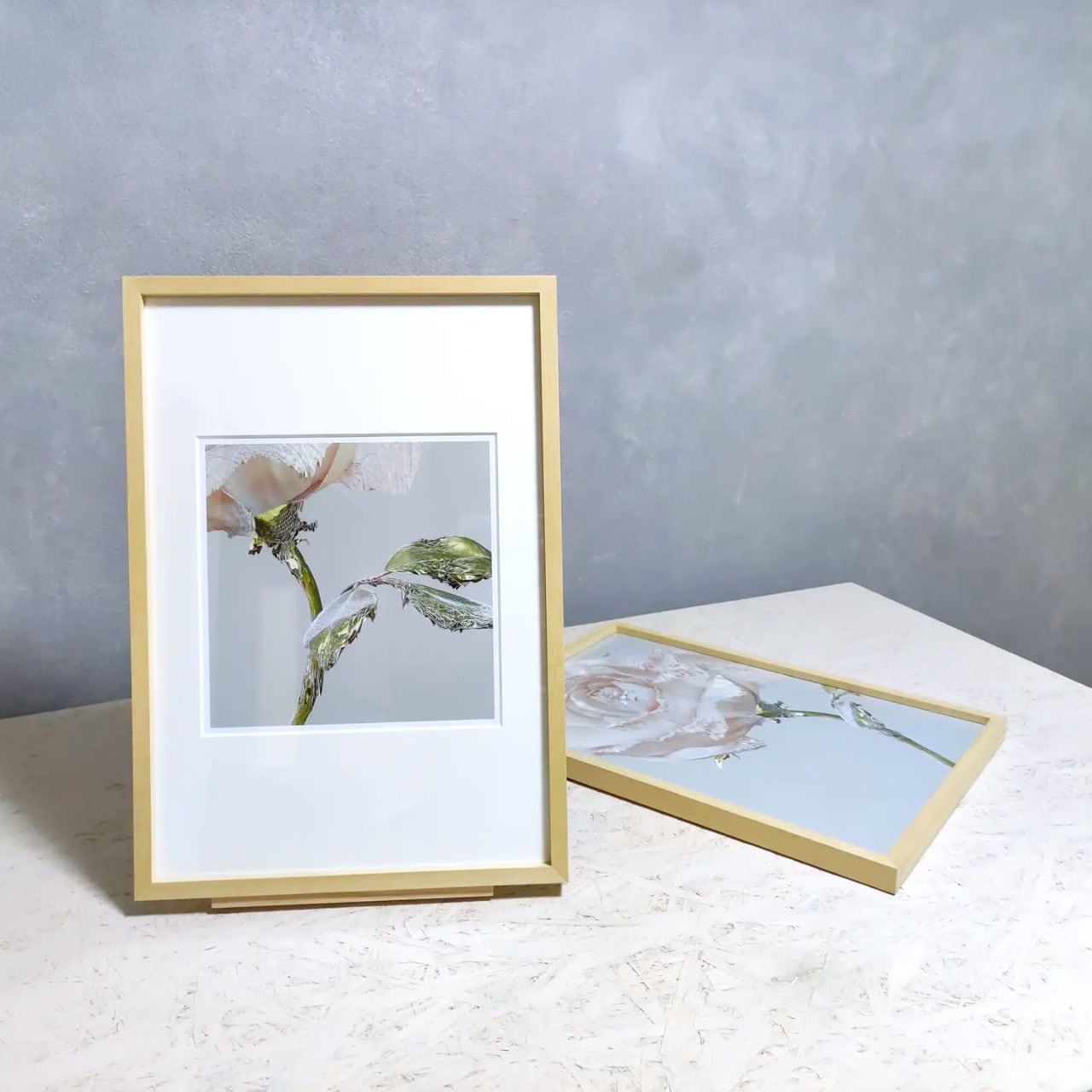 ROSE ONE - No.001, Natural, Side A / 額装済みの薔薇のオリジナル