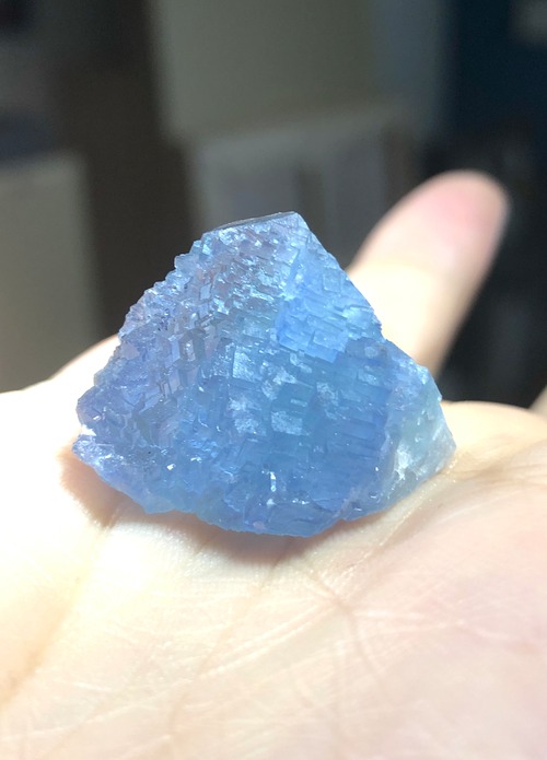 未来を見通し、自在に変えるあなたの能力へ