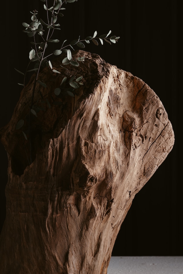 楠-kusunoki- Standing Form