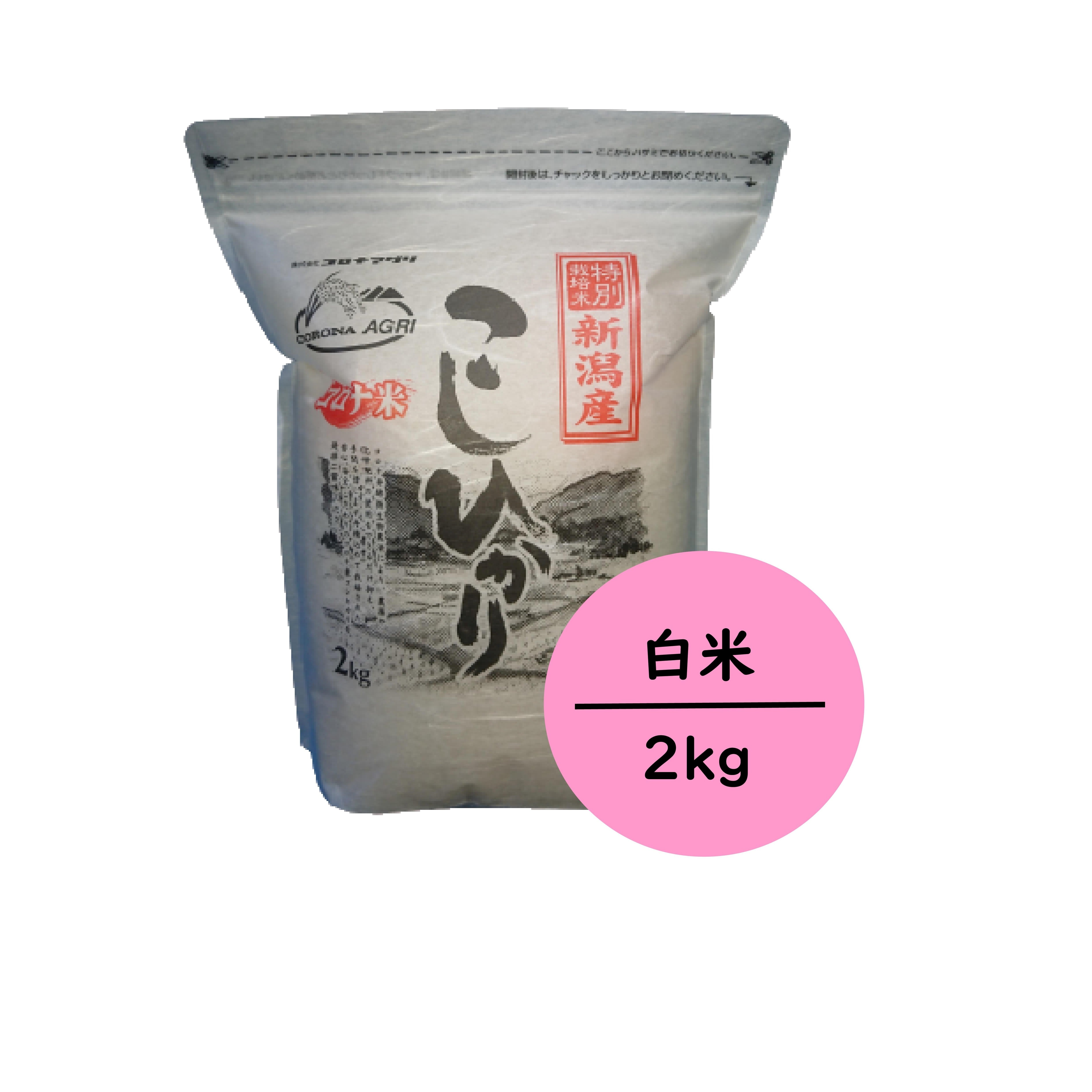 食品 R7コシヒカリ新米 静岡県産