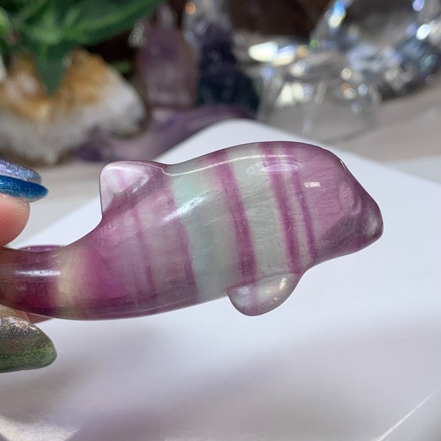 3.癒☆可愛いフローライトイルカさん