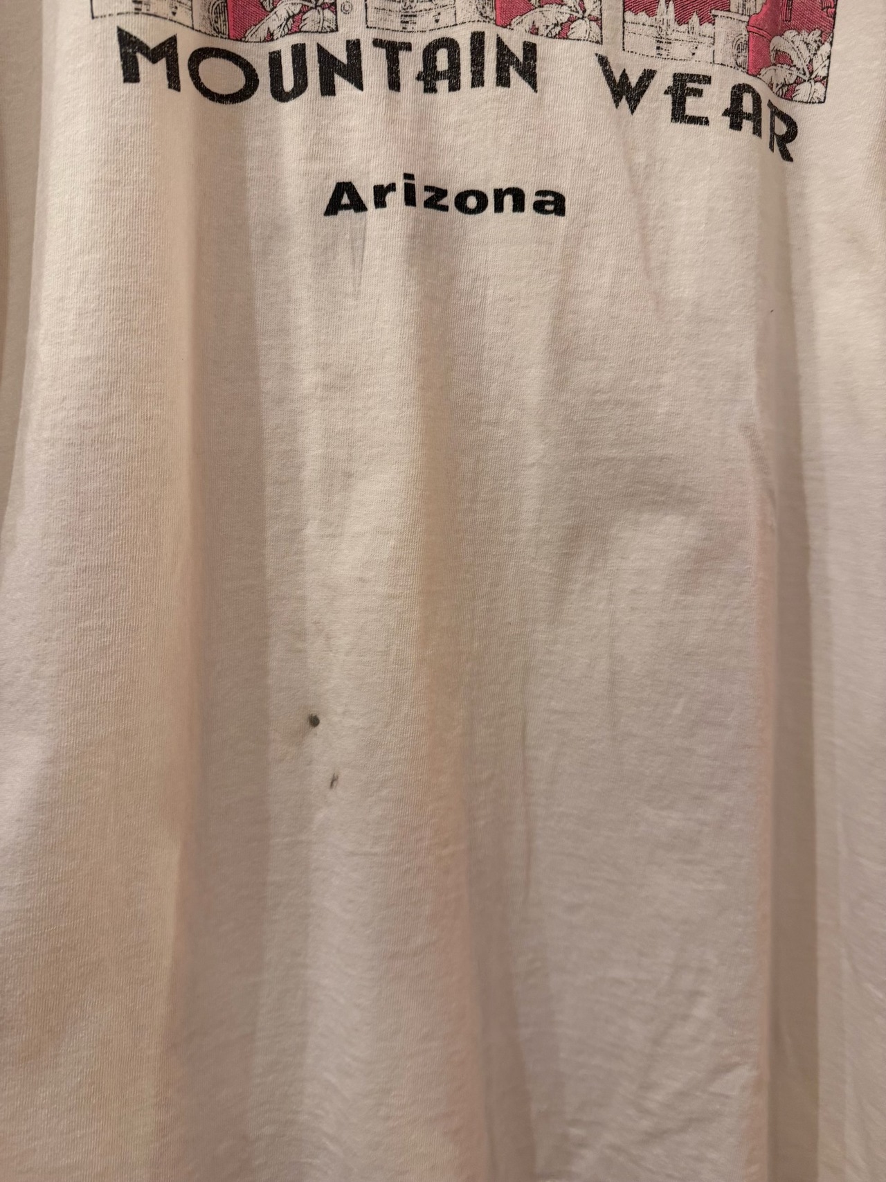 90's AZTEC MOUNTAIN WEAR Arizona Tシャツ