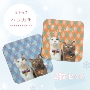 【冬季限定】ハンカチ ミニタオル アーガイル柄 オリジナル  写真 名入れ 2枚セット 20×20cm  今治タオル うちの子 ペット グッズ