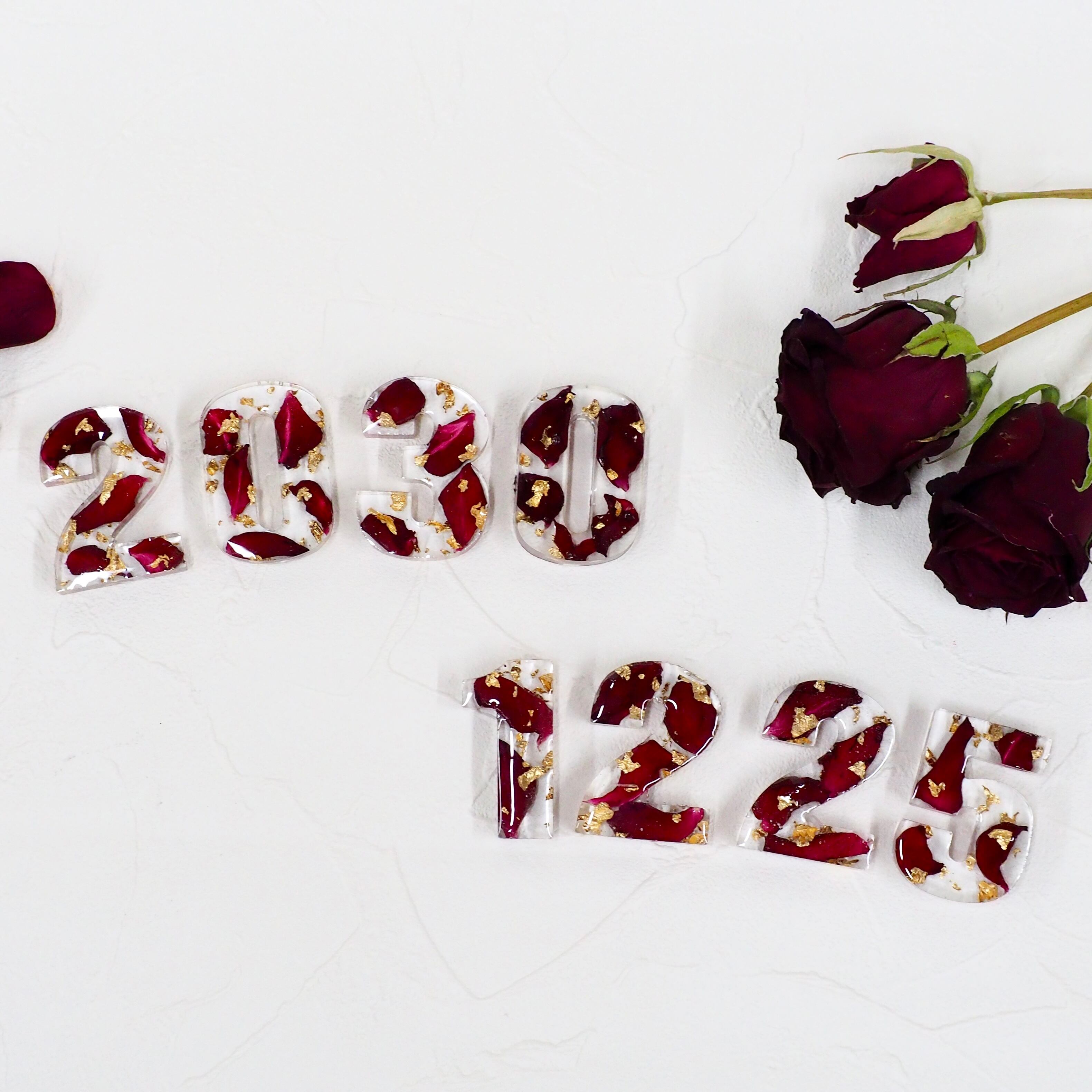 dd1dc50216250d0c319404ae52a87a