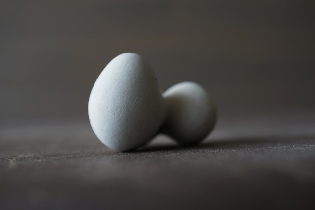 メニライトオパール　Menilite Opal　874