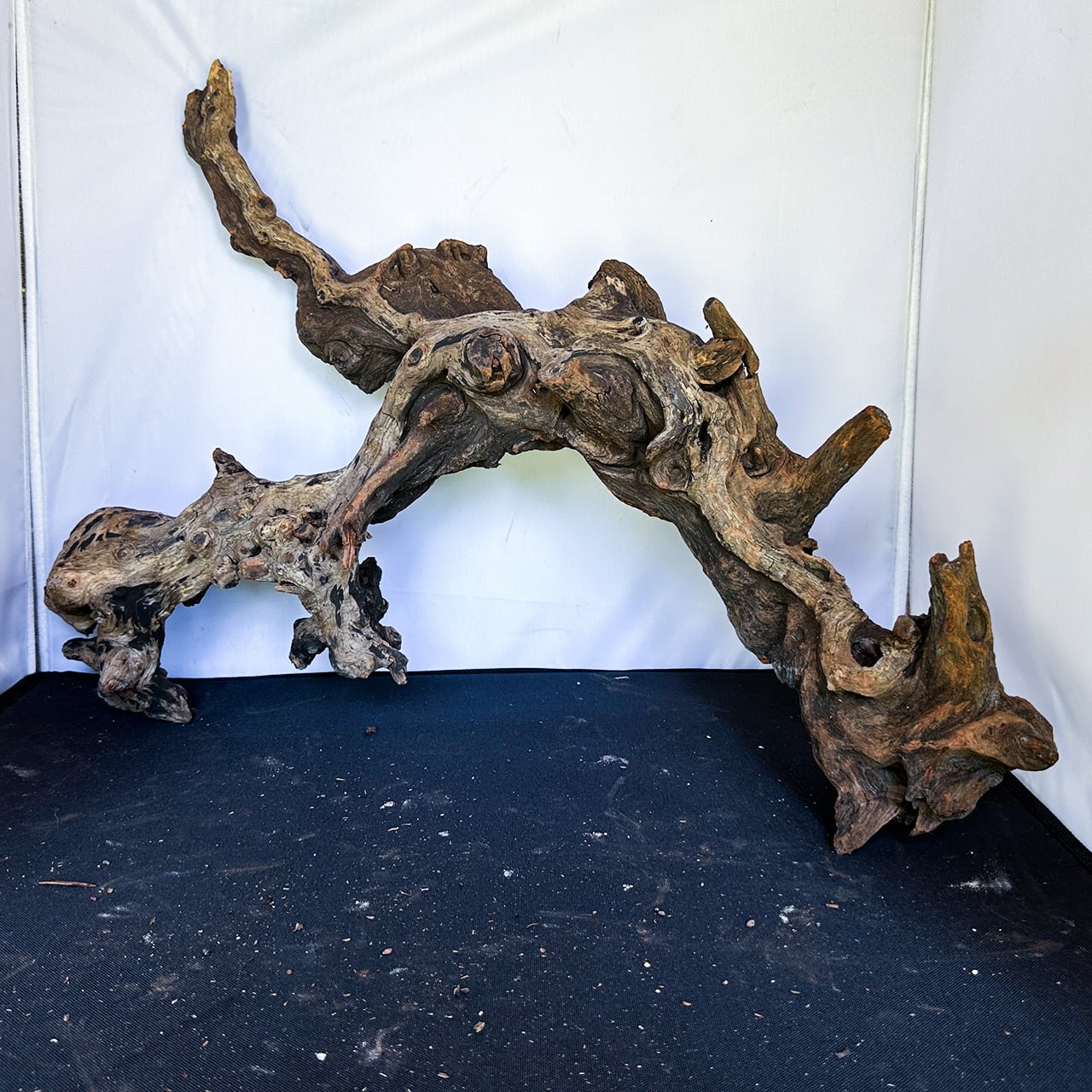 選び抜かれた存在感の特別な流木】ディープホーンウッド/Deep Hornwood