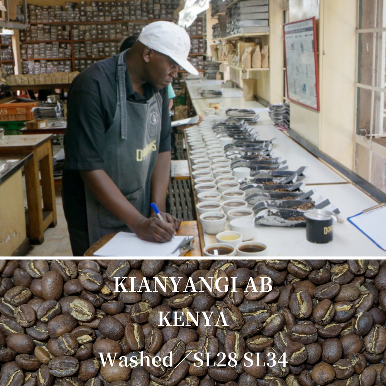 【甘い紅茶の印象】キアンヤンギAB　ケニア 　豆または粉／100ｇ〜