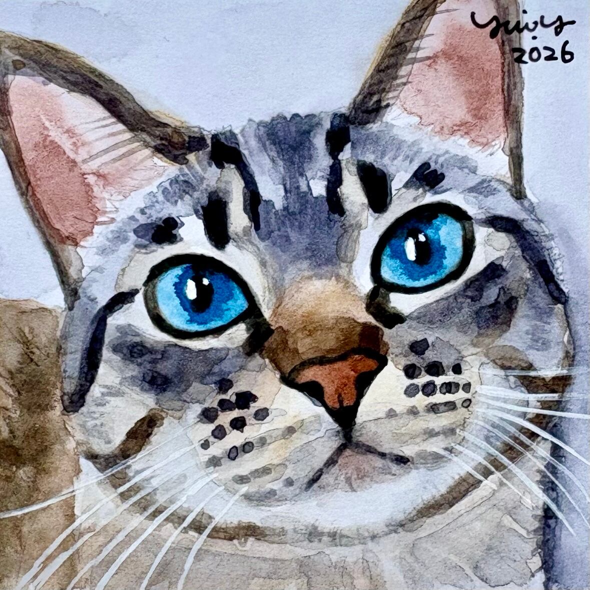 猫の絵 409 水彩画 原画 シャムトラ | Forest cat