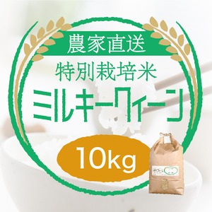 農家直売・特別栽培米 ミルキークイーン 玄米10kgまたは白米9kg〈1週間以内で発送〉